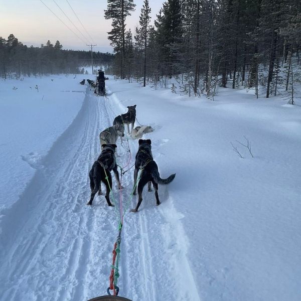 Aurora Hunt for 3 Hours in Saariselkä