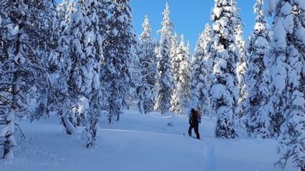 Guided Daytime Ski Adventure: Explore Private Trails by Rovaniemi