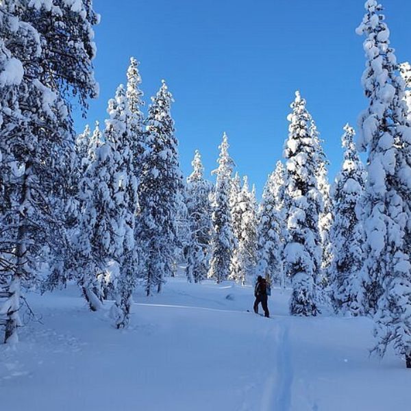 Guided Daytime Ski Adventure_ Explore Private Trails by Rovaniemi (2)