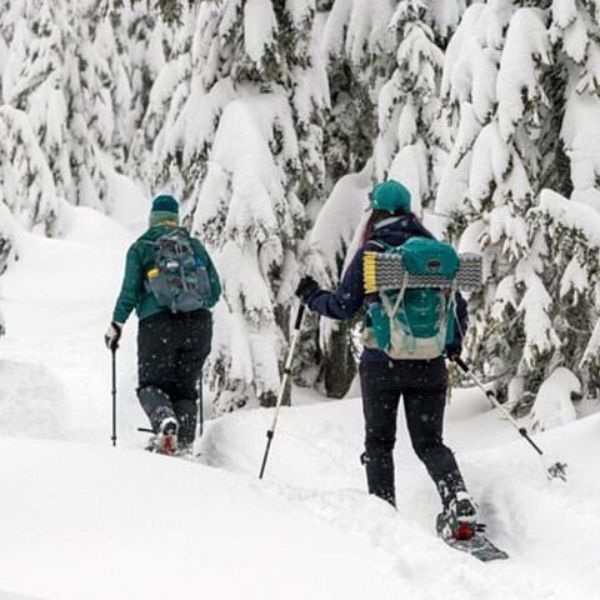 Guided Wilderness Snowshoes Expedition Tour in Rovaniemi (2)