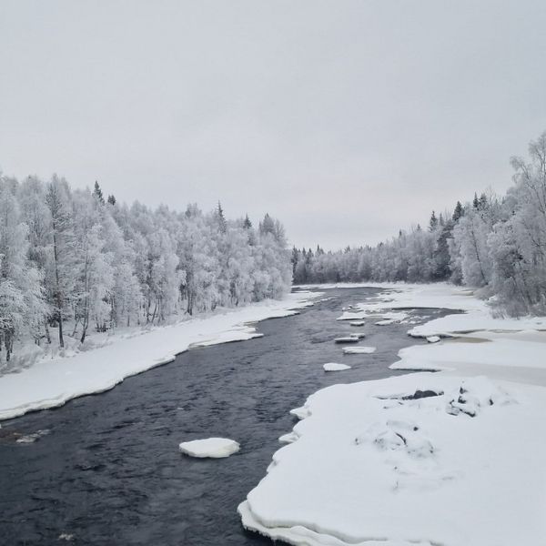 Guided Wilderness Snowshoes Expedition Tour in Rovaniemi