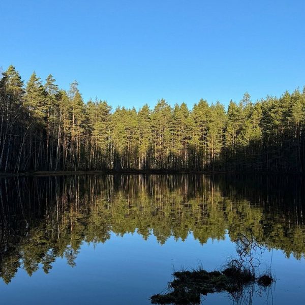 Half-Day Nature Adventure to Nuuksio National Park from Helsinki