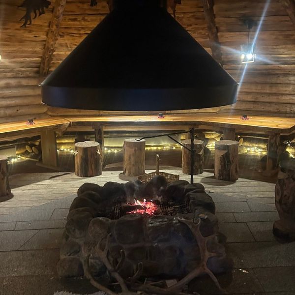 Husky, Reindeer Farm and Santa Village Experience