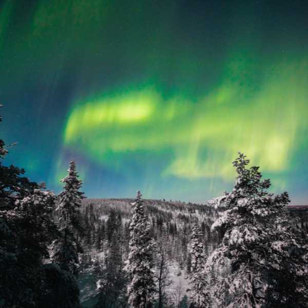 Northern Lights Rovaniemi