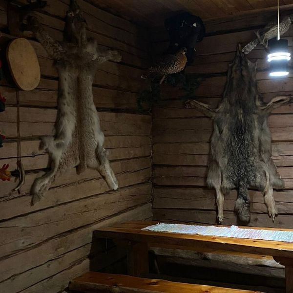 Lapland Reindeer Safari from Rovaniemi