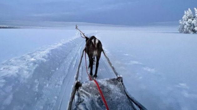 Lapland Safari from Levi_
