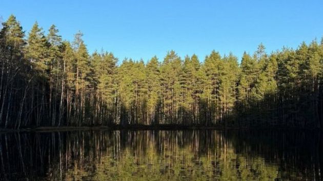 Nuuksio National Park Helsinki_