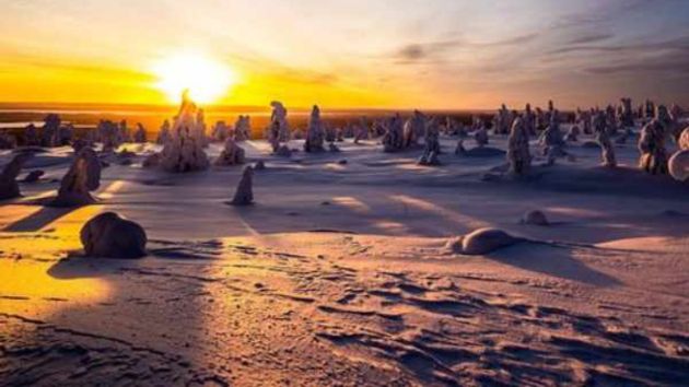 Riisitunturi wilderness​
