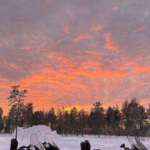 Safari through Lappish Forest from Rovaniemi By Nordic Unique Travels (2)
