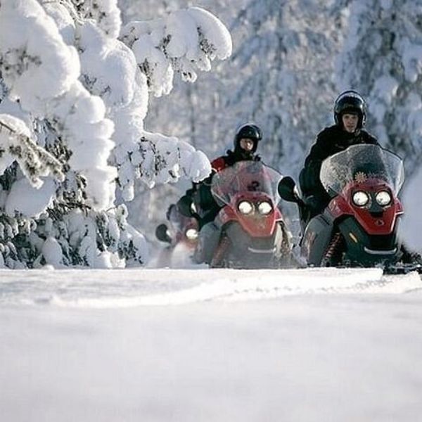 Safari through Lappish Forest from Rovaniemi By Nordic Unique Travels (2)
