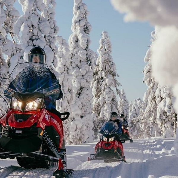 Snowmobile Safari into the Arctic Circle Forest