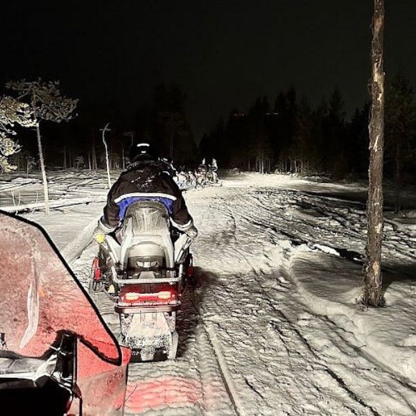 Snowmobile Safari into the Arctic Circle Forest