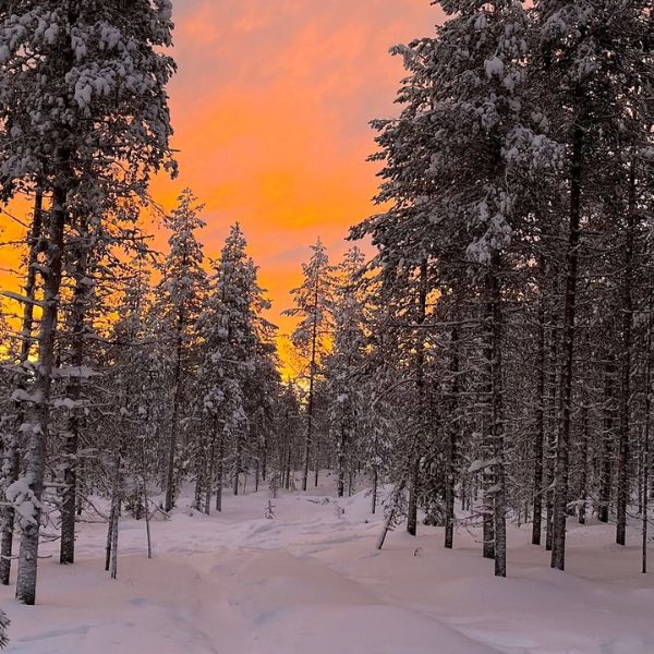 Snowshoe Trip in the Wilderness