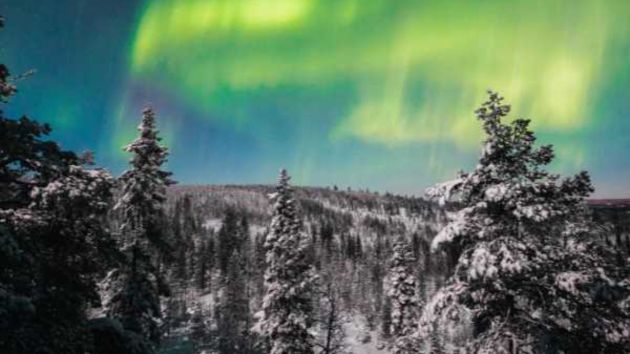 Northern Lights Rovaniemi