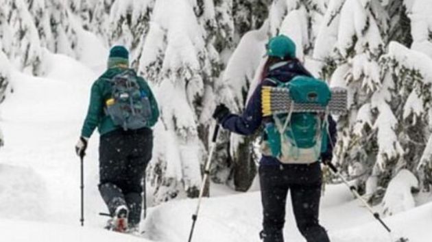 Expedition in Rovaniemi